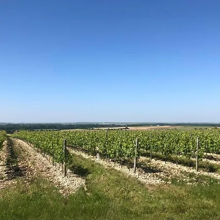 Les Etoiles Blanches * Chérac